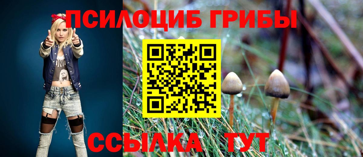 Псилоцибиновые грибы ЛСД  Вход с VPN  дарнет шоп  Элиста 