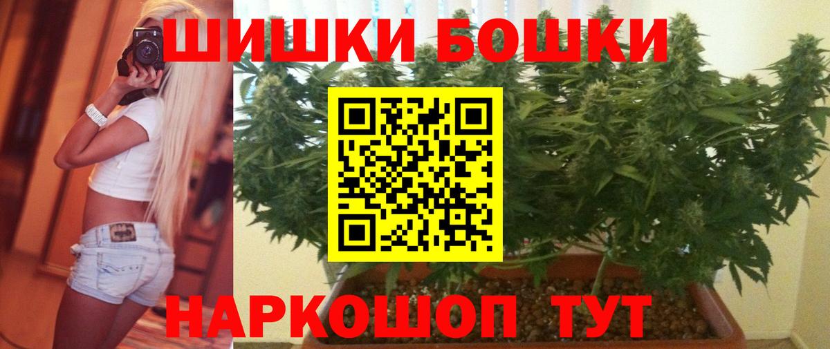 Бошки марихуана ГИДРОПОН Элиста